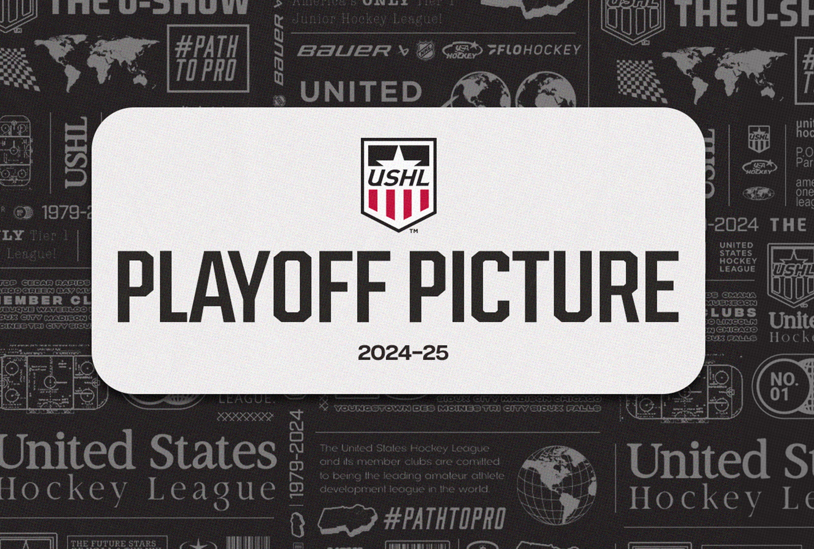 USHL Playoff Picture